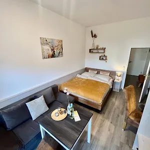 Apartment Wunderschoenes Mit Bademantelgang Zur Wohlfuehltherme, Bad Griesbach im Rottal